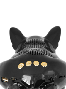 Black French Bulldog bluetooth G29 bežični zvučnik